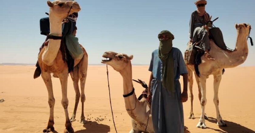 Libya: Tajirhi Festival Rich in Cultural Diversity, Tourism Potential